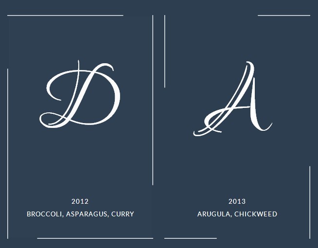 Border Animation Effect